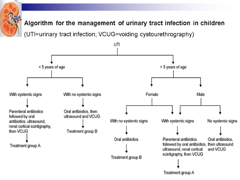 Algorithm for the management of urinary tract infection in children  (UTI=urinary tract infection;